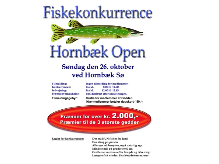 hornb&aelig;kopen2014plakat